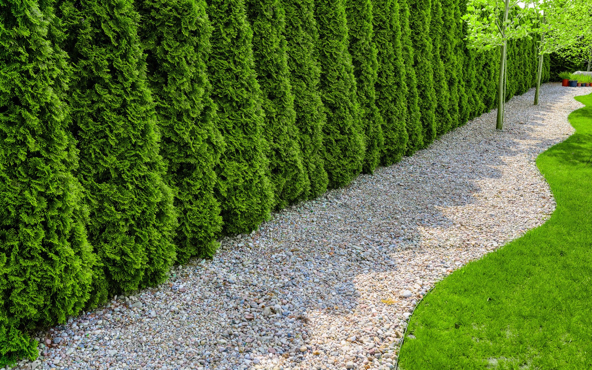 Pavers and wall block